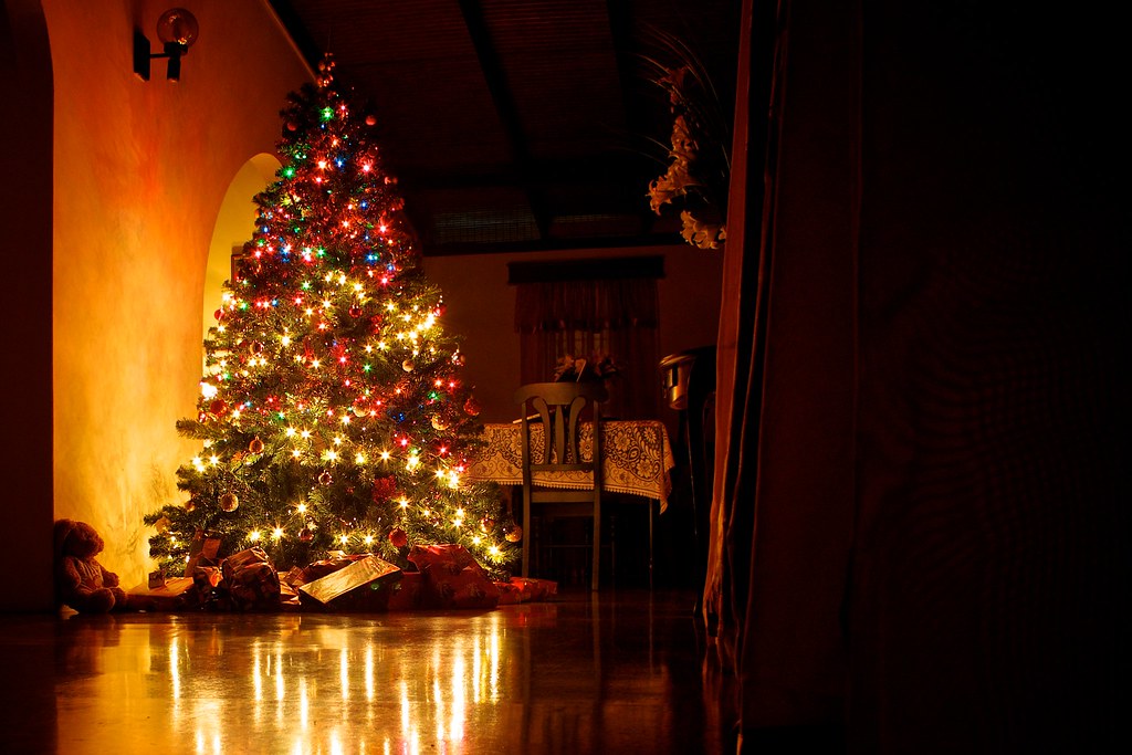 201212 Trinidad & Tobago 8 Merry Christmas! Edmund Gall Flickr