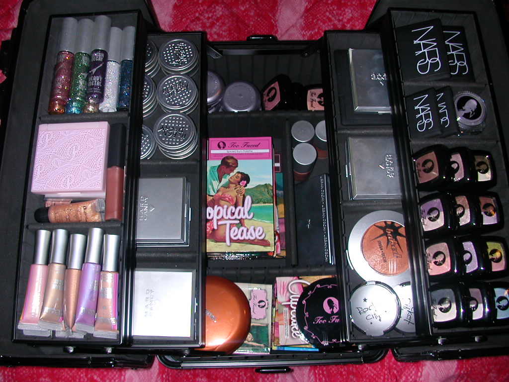 makeup case (1) Sephora Midnight train case whirlygirly Flickr