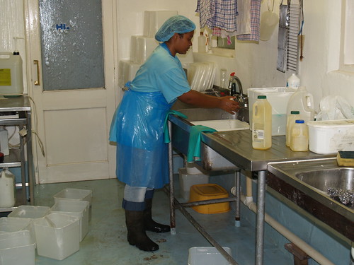 P9064943 Karen and Audrey making cheese | Turning the presse… | Flickr