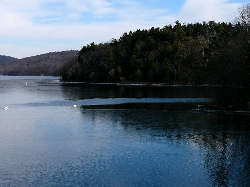 Croton Resevoir Croton Dam Bald Eagles Marjorie Lipan Flickr