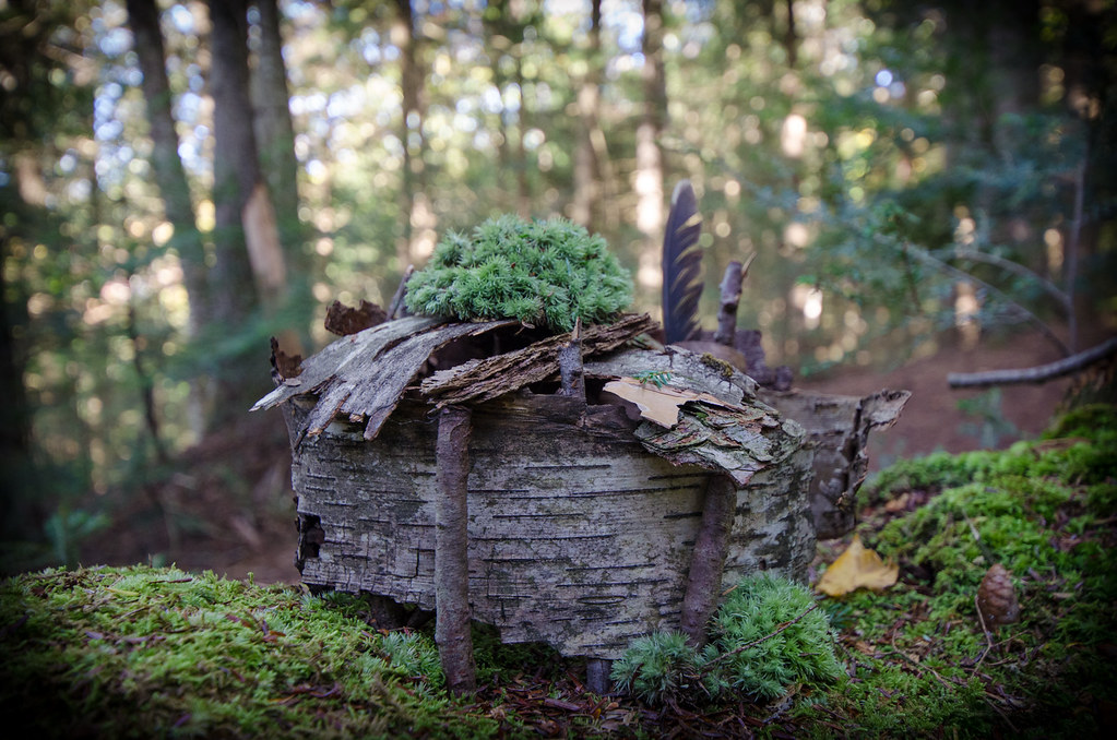 Moss Glen Falls Stowe, VT Tiny House Brewing & Farmstead Flickr