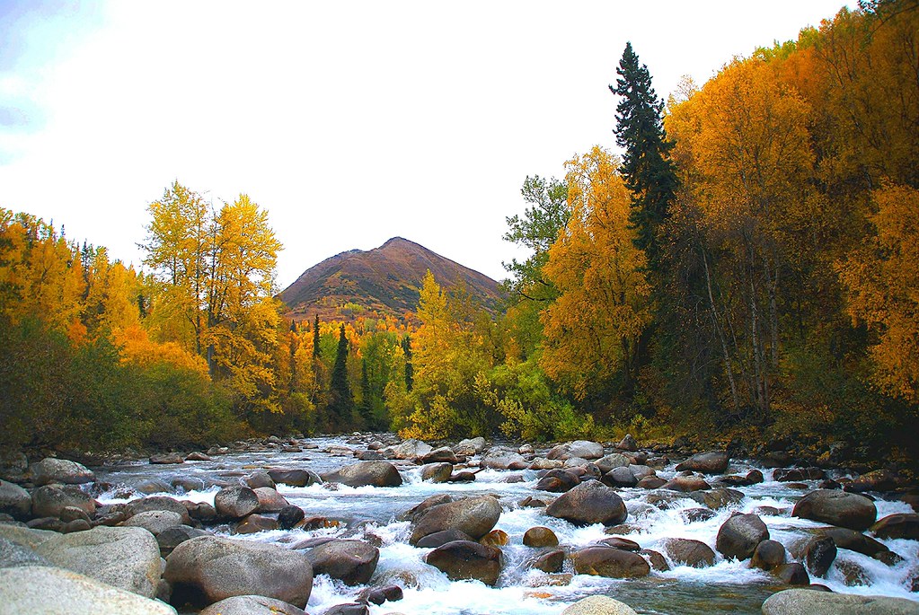 Autumn In Fishhook Alaska MarculescuEugenIancuD5200Alaska Flickr