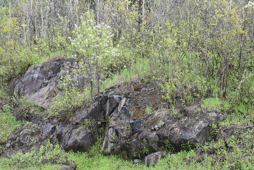 Chibougamau, Quebec Chibougamau, Quebec Stephen Downes Flickr