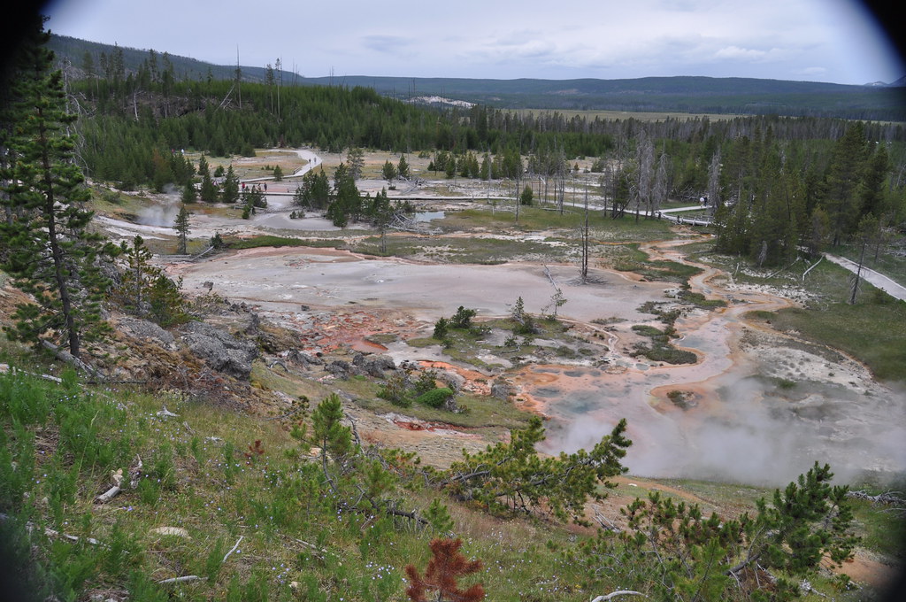 Hot springs & pools on Paintpot Hill North Flats (5 July 2012) 1 a
