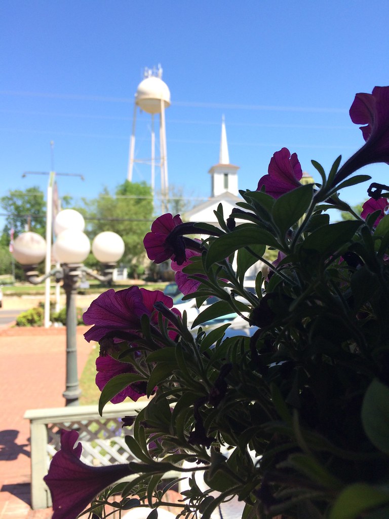 IMG_2736 Chappell Hill, TX and Bevers Kitchen Robert Gray Flickr