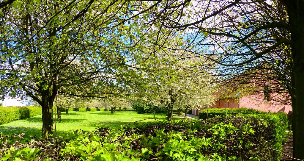 Elevation of Waregem, Belgium Topographic Map Altitude Map