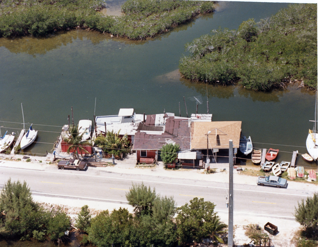 Smash Antagonismus Fossil alabama jacks florida keys Reiben Guckloch