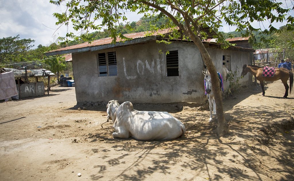 Philippines Filipino Ranch House A ranch house near the c… Flickr