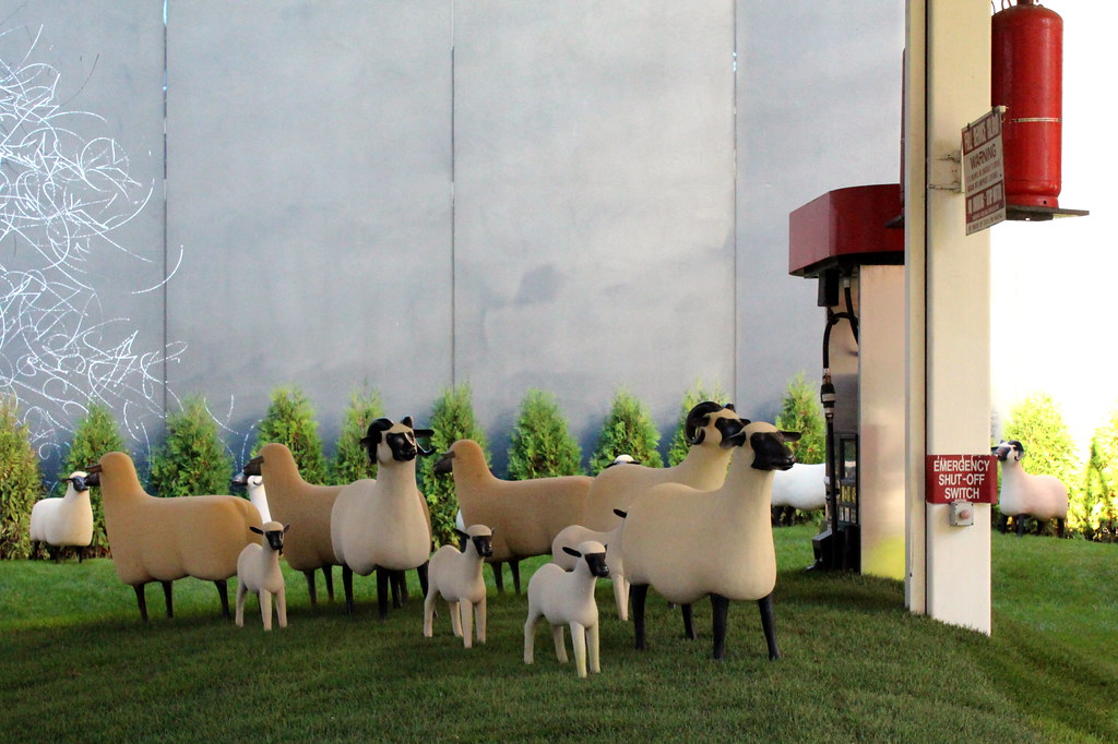 Sheep Station007 The Sheep Station, a work by the late ar… Flickr