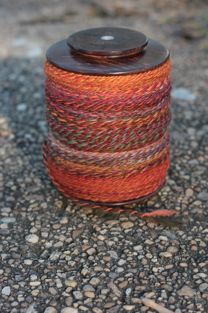 IMG_6214 woolology Flickr