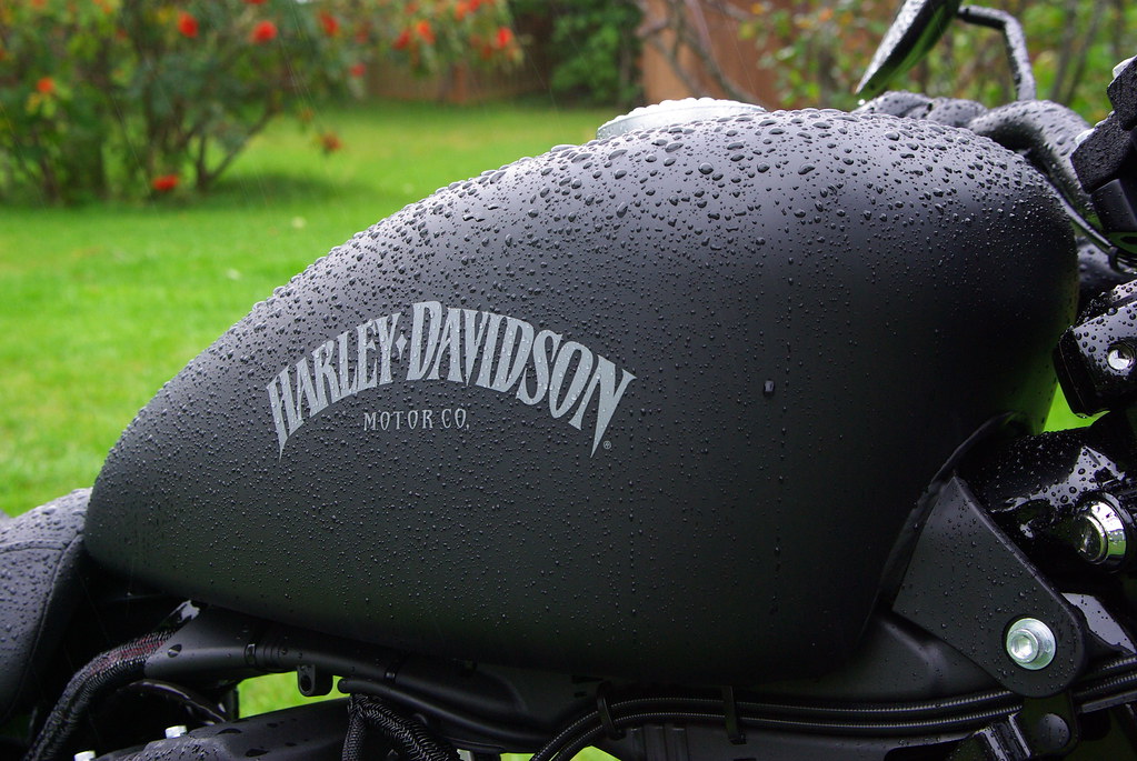 Iron 883 gas tank Iron 883 tank Dan Earles Flickr