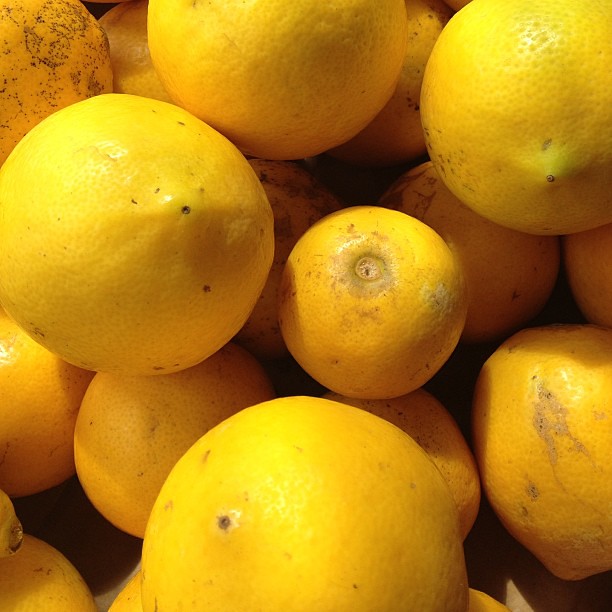 Flickriver Photos from Slow Food Maui