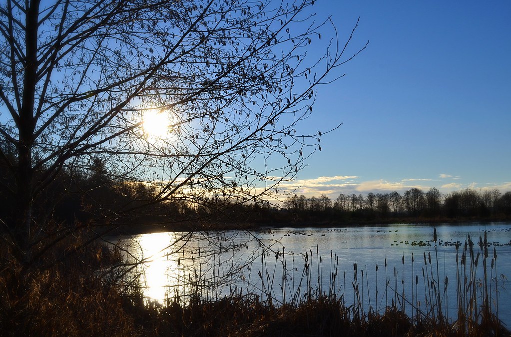 Surrey Lake Park, British Columbia EXPLORE Carlin Flickr