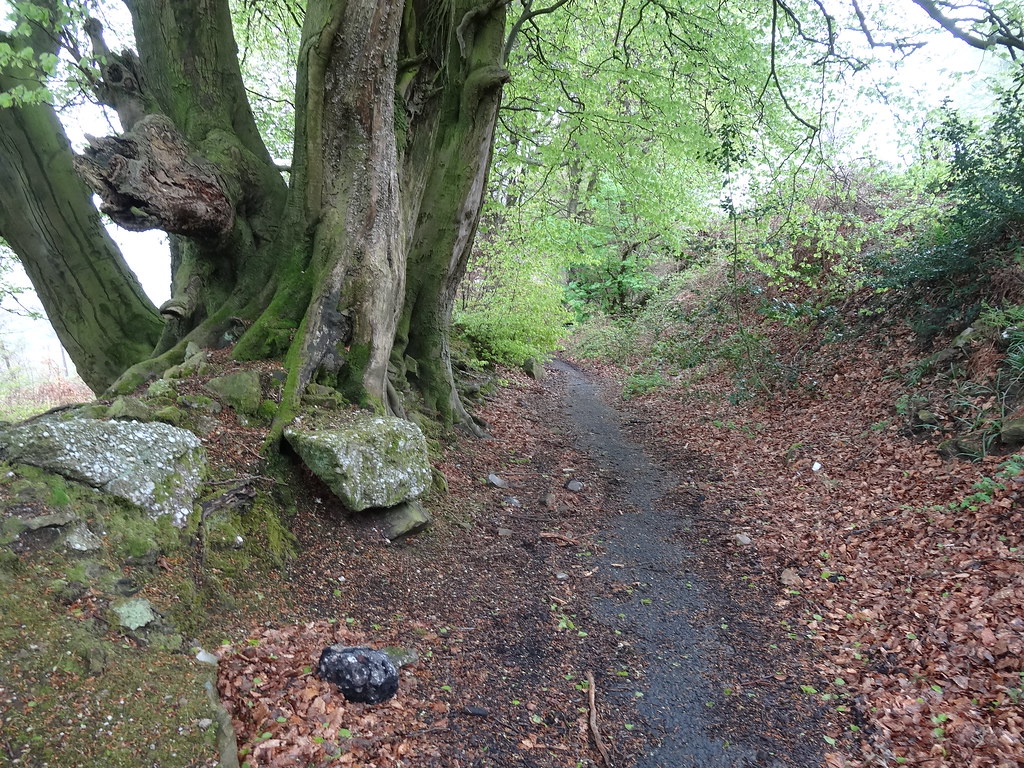 Hollow Way, Cistercian Way, Thornhill, Cwmbran 12 May 2013… Flickr