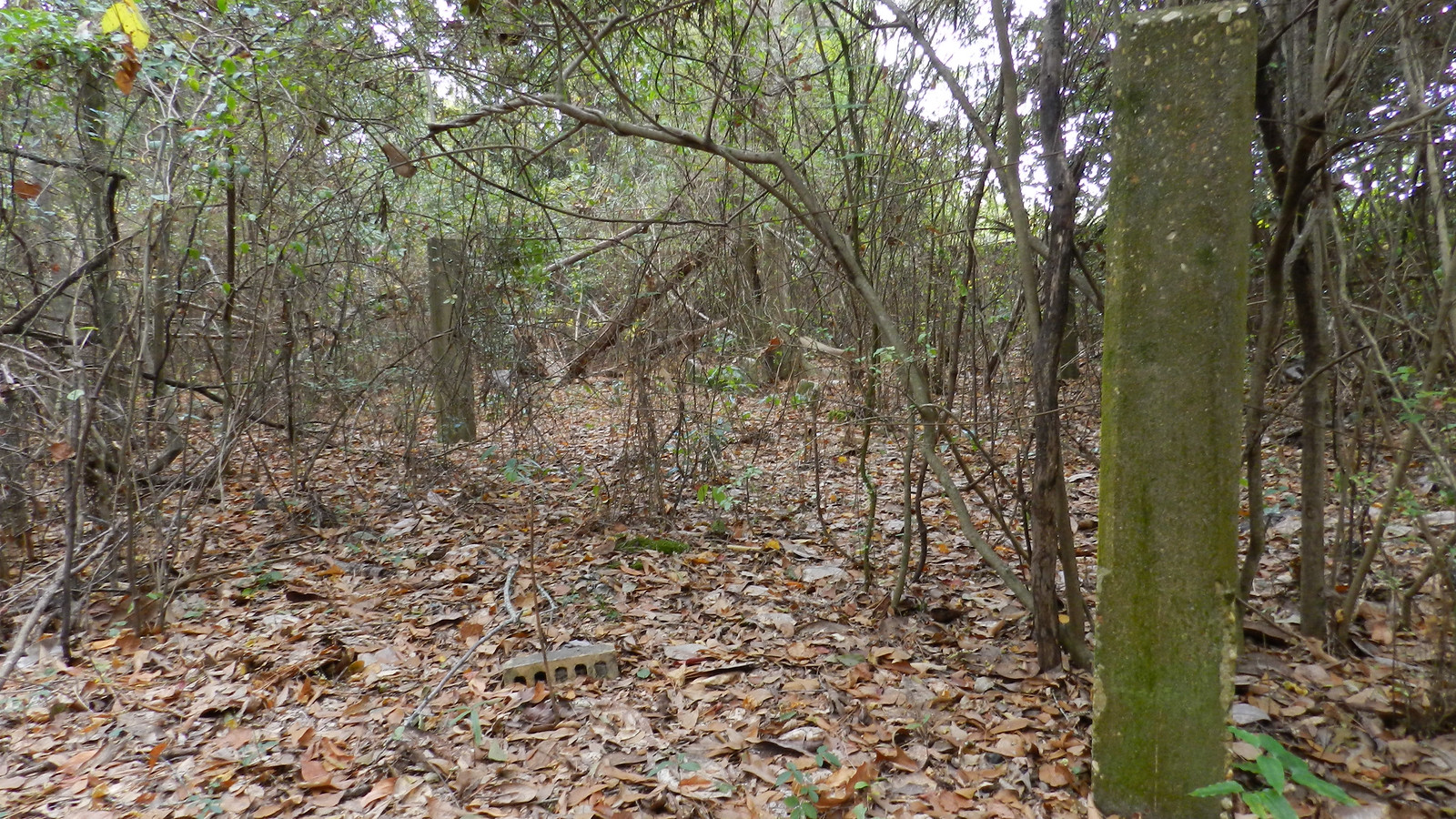 Lewis Family Cemetery Eight Mile Mobile County Alabama Flickr