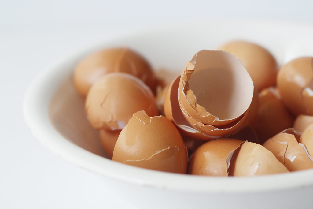 Are Brown Eggs Better for You? 12 Tomatoes