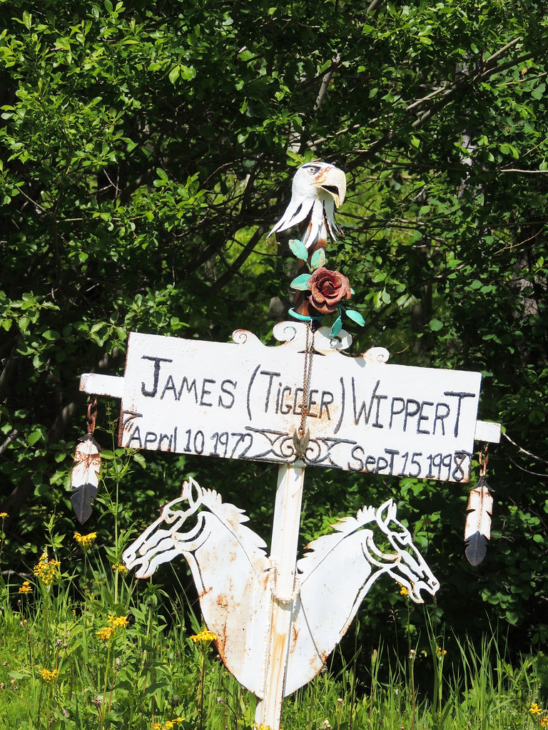 20Trick Falls & Two Medicine Lake Road Flickr