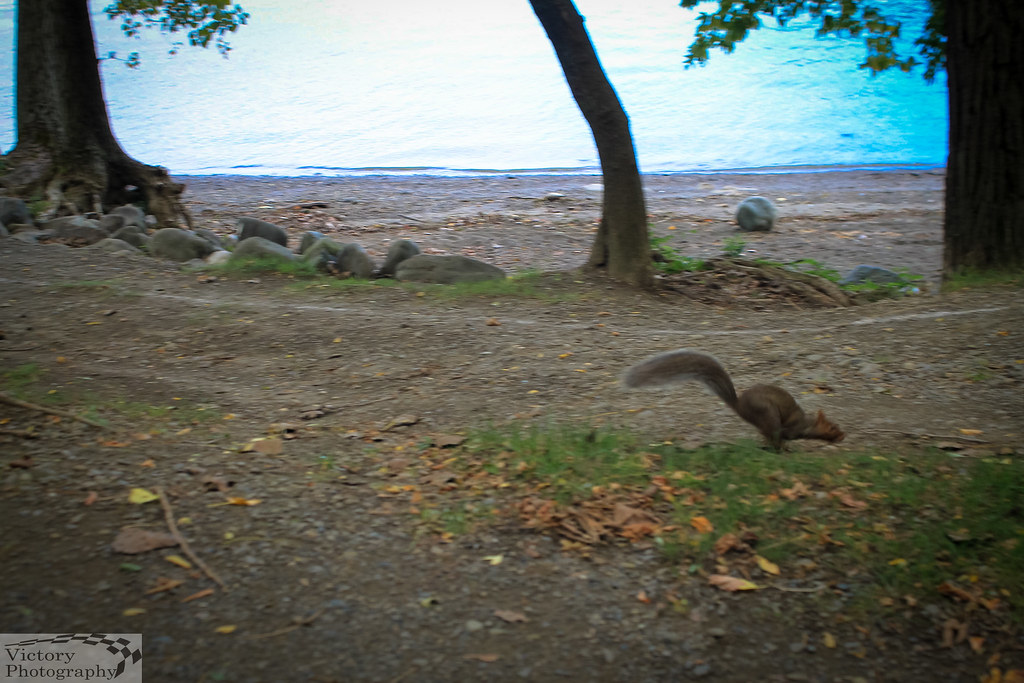 First Day of Fall Kowawese Unique Area at Plum Point New W… Flickr