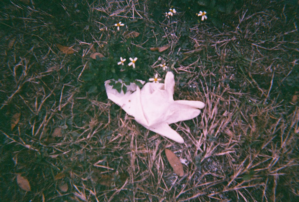 Beauty supplies Sarasota florida 2014 Abril Sicairos AbrilSicairos Flickr