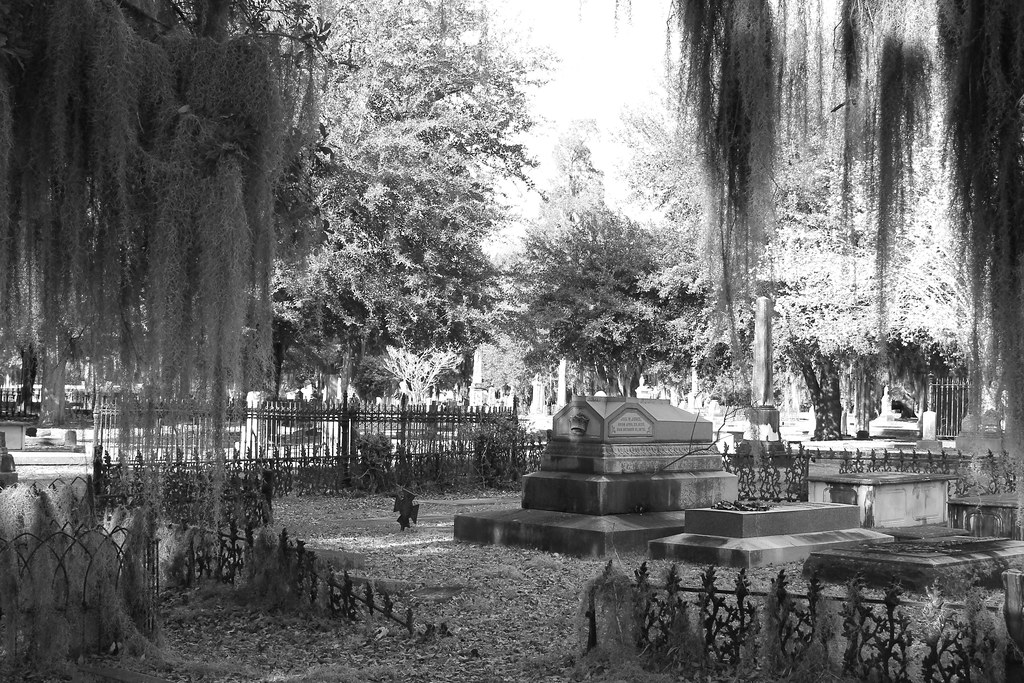 Live Oak Cemetery, Selma, Alabama IV Perhaps the most beau… Flickr