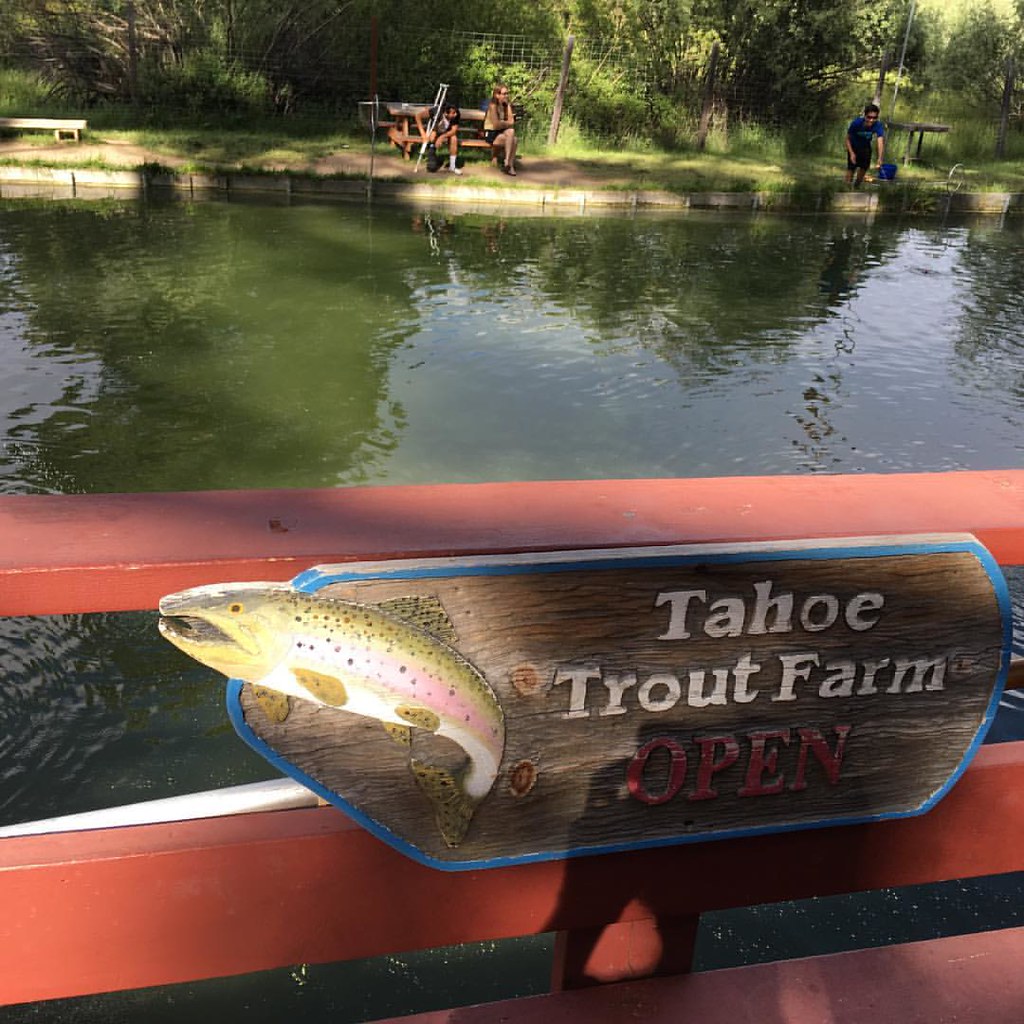 Kids trout fishing, Tahoe Trout Farm Flickr