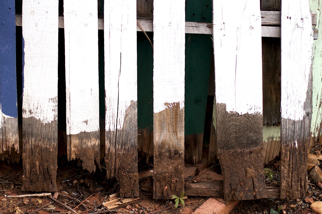 Where's Tom Sawyer When You Need Him? Where's Tom Sawyer W… Flickr