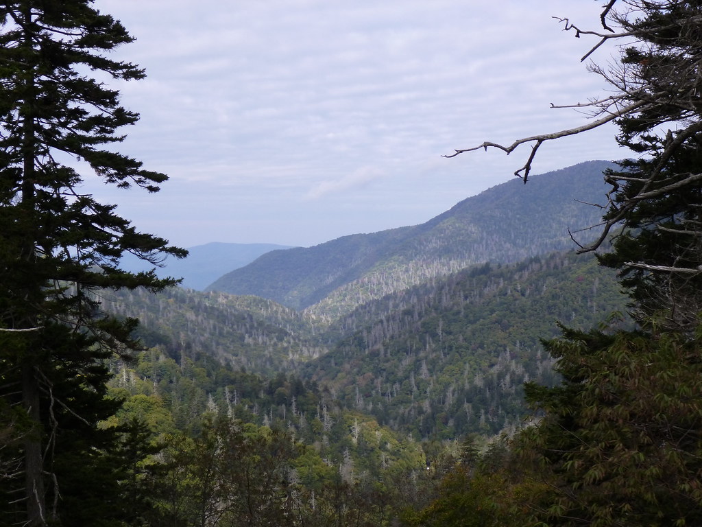 Great Smoky Mountains From the "Small Cam" Flickr