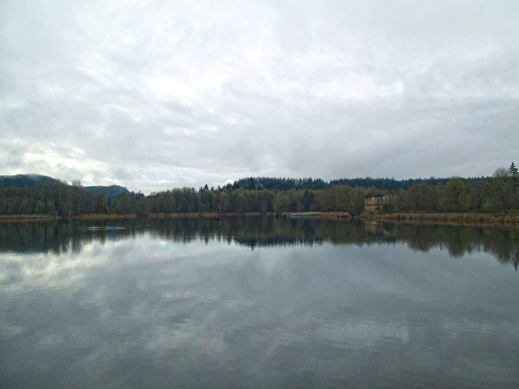 Vernonia Lake Lynne Fitz Flickr