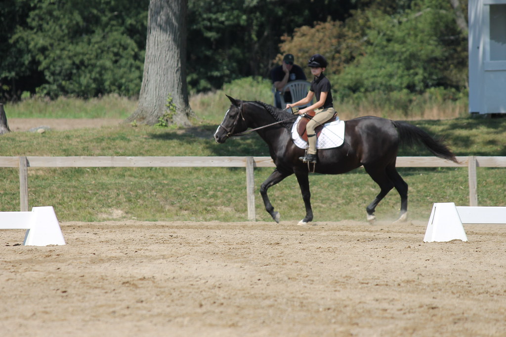 Dressage at Woodbine Schooling Show (August 25, 2013 Che… Flickr