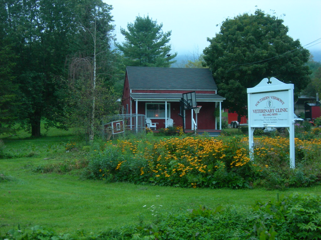 Southern Vermont Veterinary Clinic Bennington, Vermont Jimmy