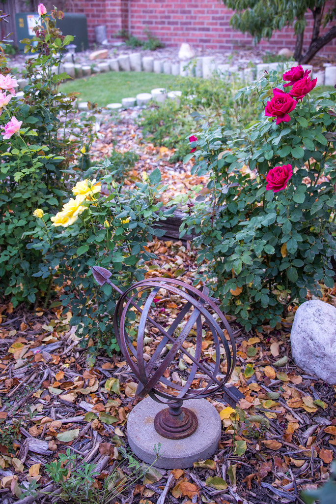 Backyard garden Westminster, Colorado, September 30, 2013 Kent