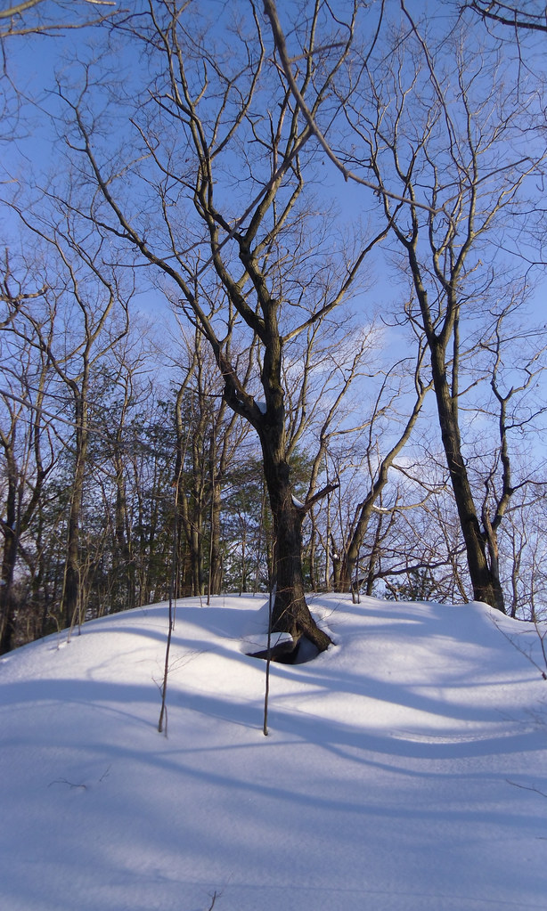 North Ottawa Dunes county park, Ferrysburg, Michigan Flickr