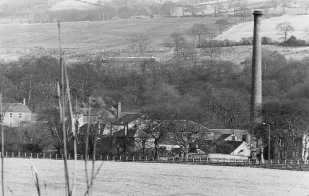 Lintzford. 88whinfield Flickr