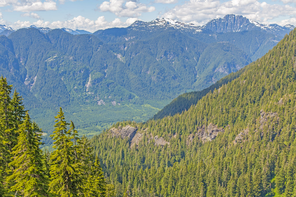 Seymour River Valley Dog Mountain and Suicide Bluffs Hike,… Flickr