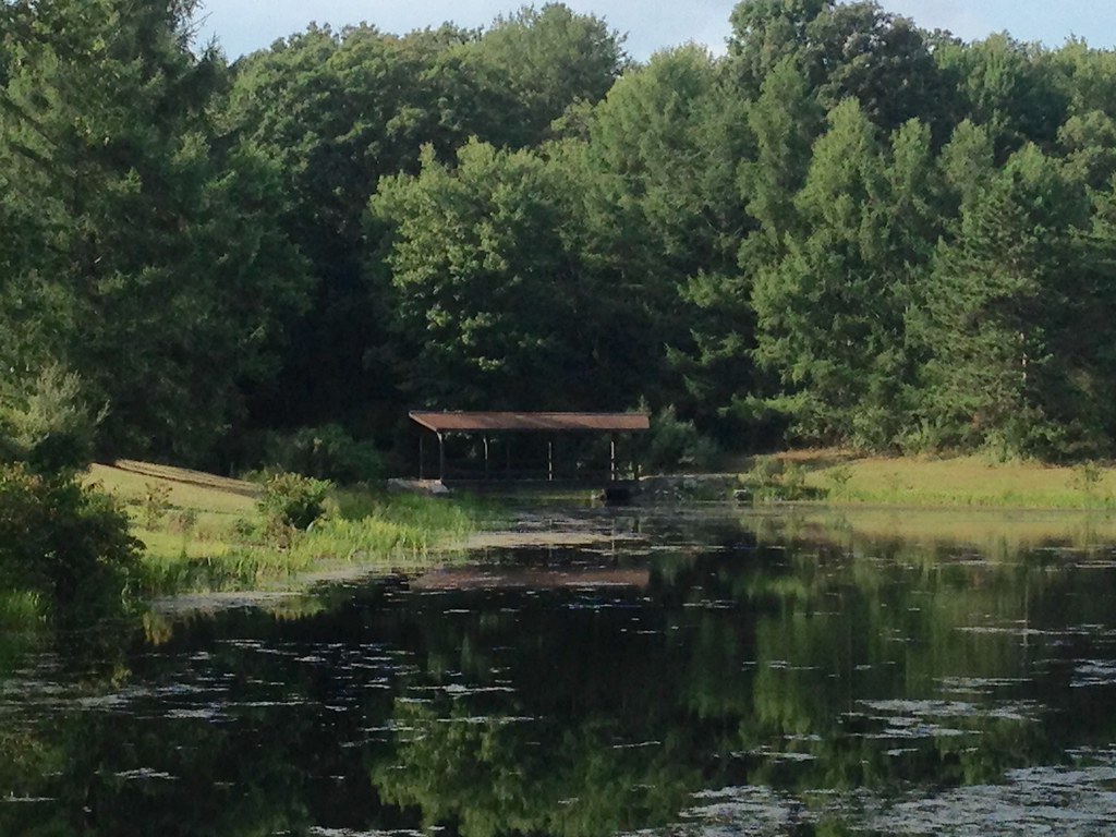 Pickerel Pond at Prince Gallitzin State Park... Gary Flickr