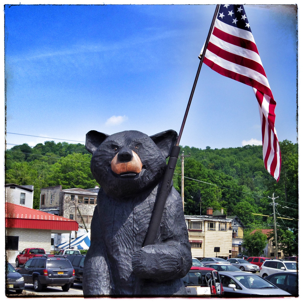 Bear flag Margaretville NY Patrick Shanks Flickr