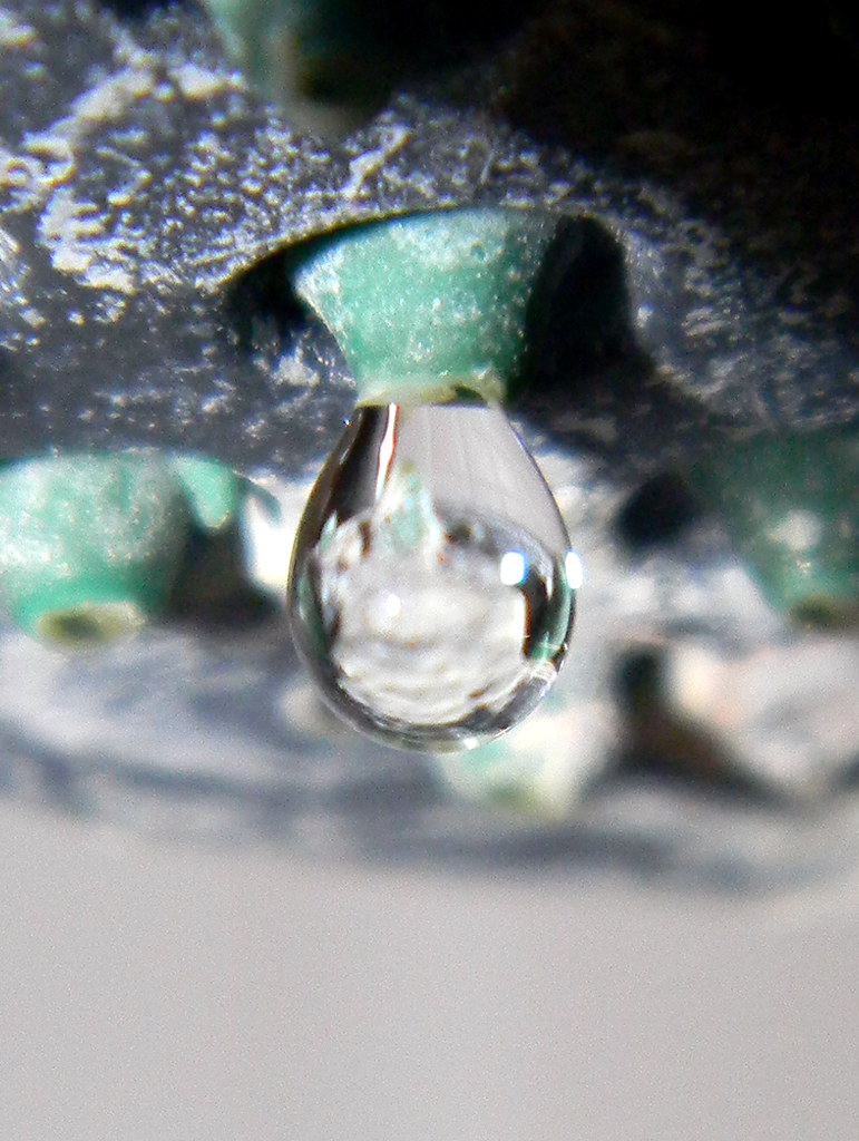 Water droplet drip shower head 7th April 2013 07042013 0… Flickr