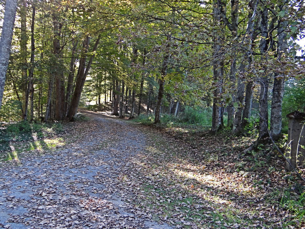 Elevation of Cold Brook, NY, USA Topographic Map Altitude Map