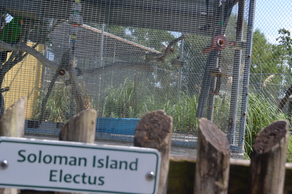 Zoo Labor Day 2013 Mostly by Kaitlyn April Weeks Flickr