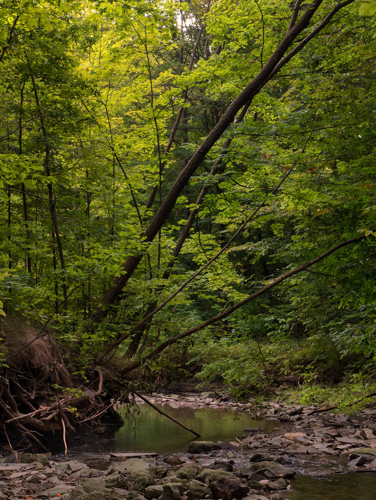 Sawmill Creek Joe deSousa Flickr