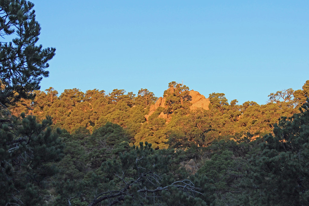 Elevation of East Calle Sonoita Drive, E Calle Sonoita Dr, Arizona, USA Topographic Map