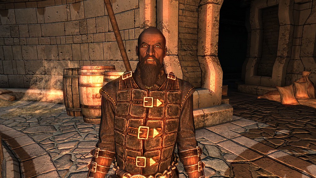 Isran, Dawnguard Leader, at Fort Dawnguard IcaruS Flickr