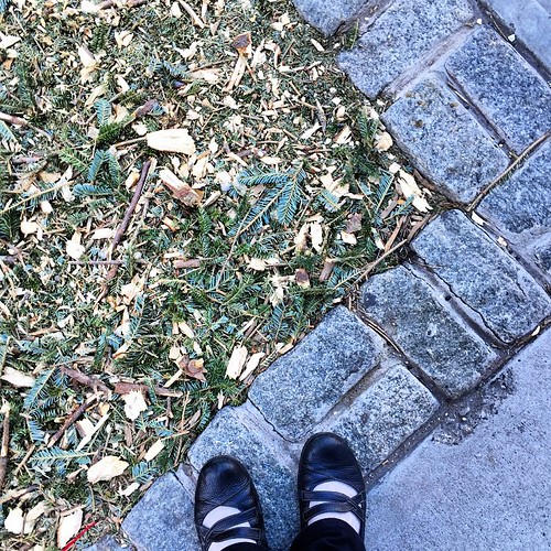 Recycled Christmas Trees as sidewalk planter mulch ). Sti… Flickr