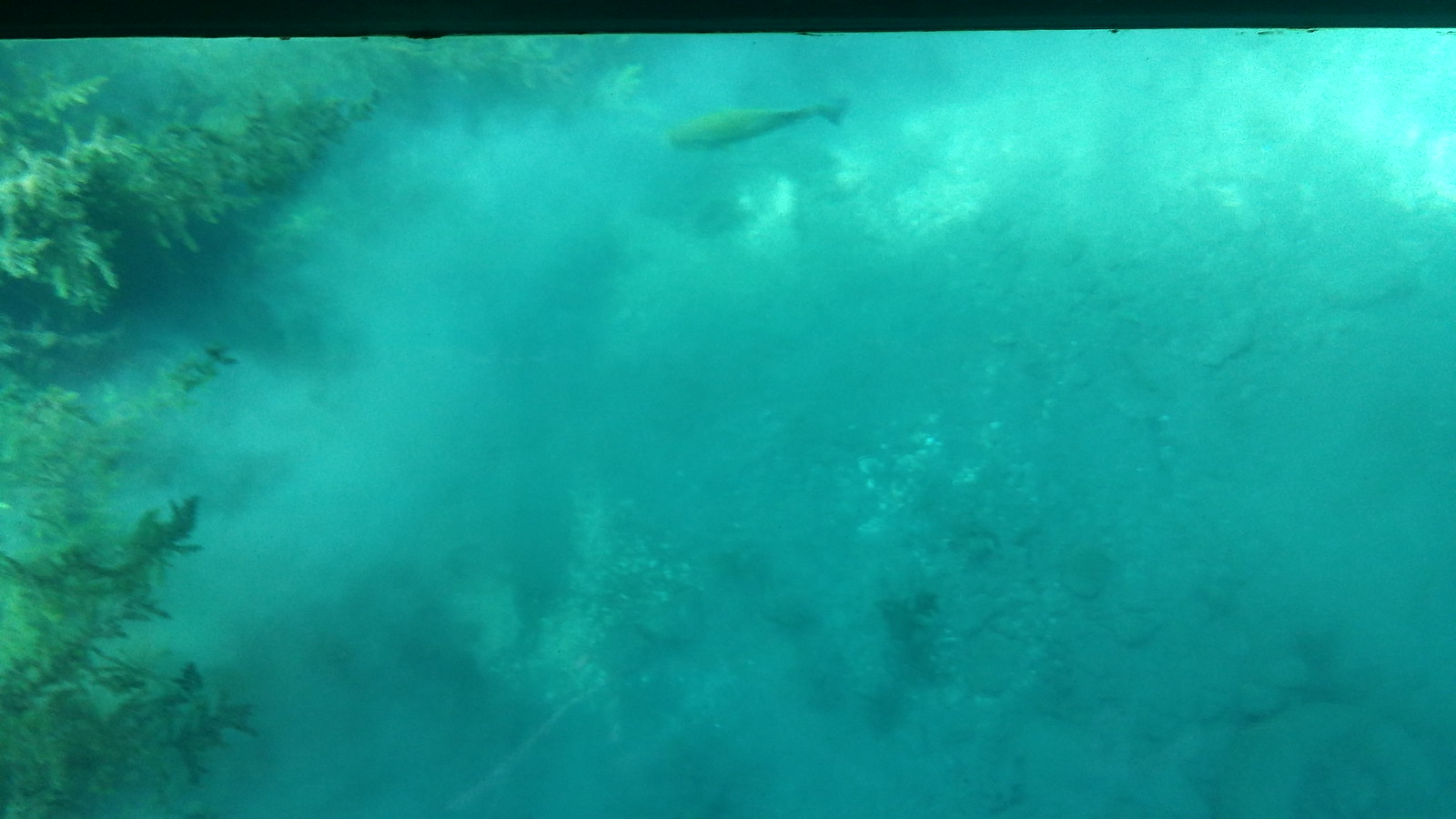 Meadows Center and Sewell Park Flickr