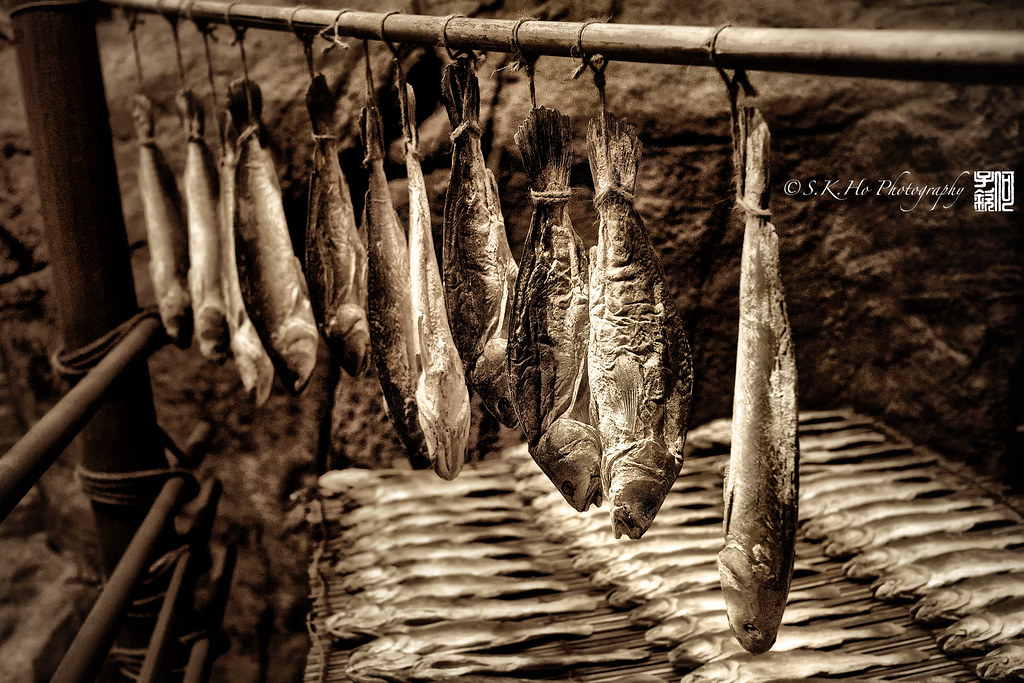 Still Life Salted Fishes Salted Fishes SK HO Flickr