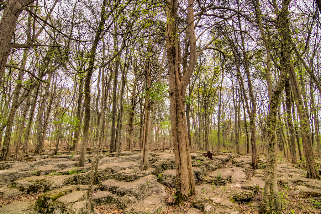 20140418IMG_1545_HDR The Slaughter Pen. Stones River Nati… Flickr