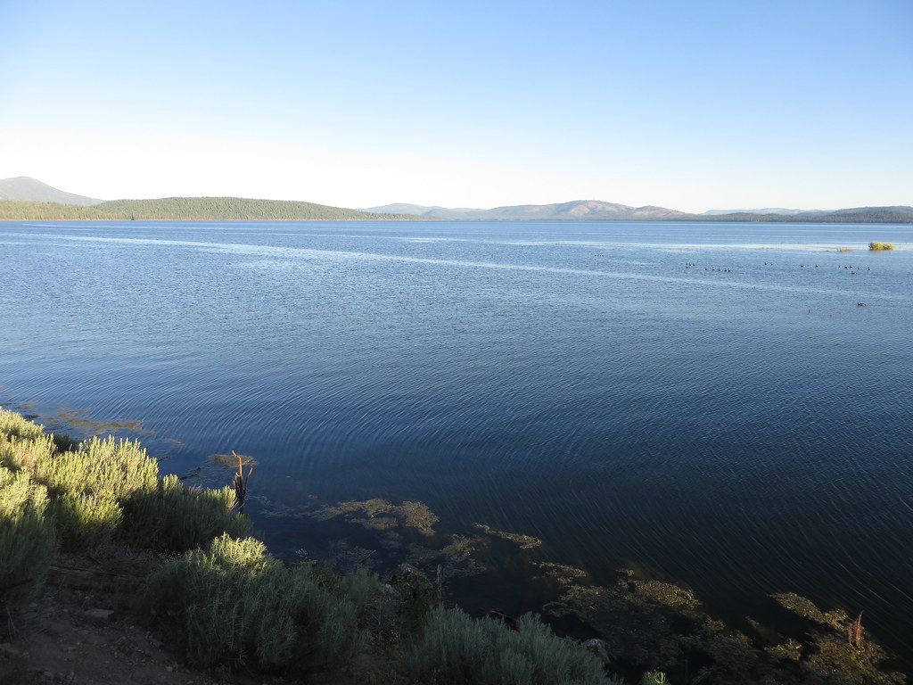 Lake Almanor, Chester, California Lake Almanor is a large … Flickr