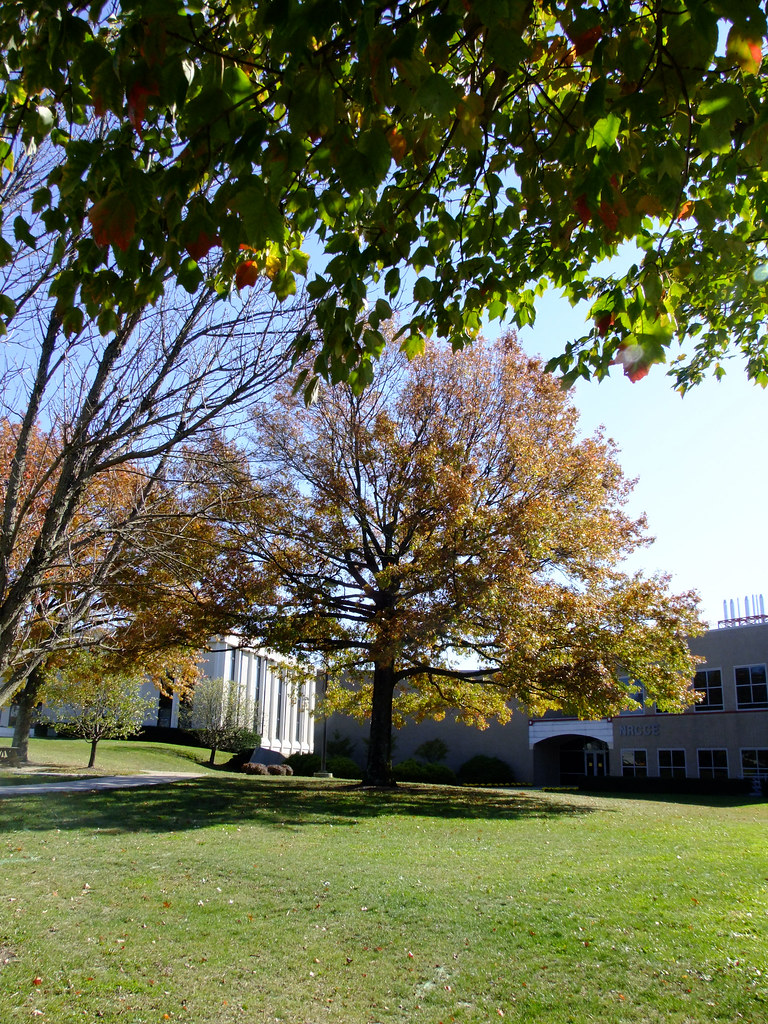 West Virginia University Evansdale, WV Shane Henderson