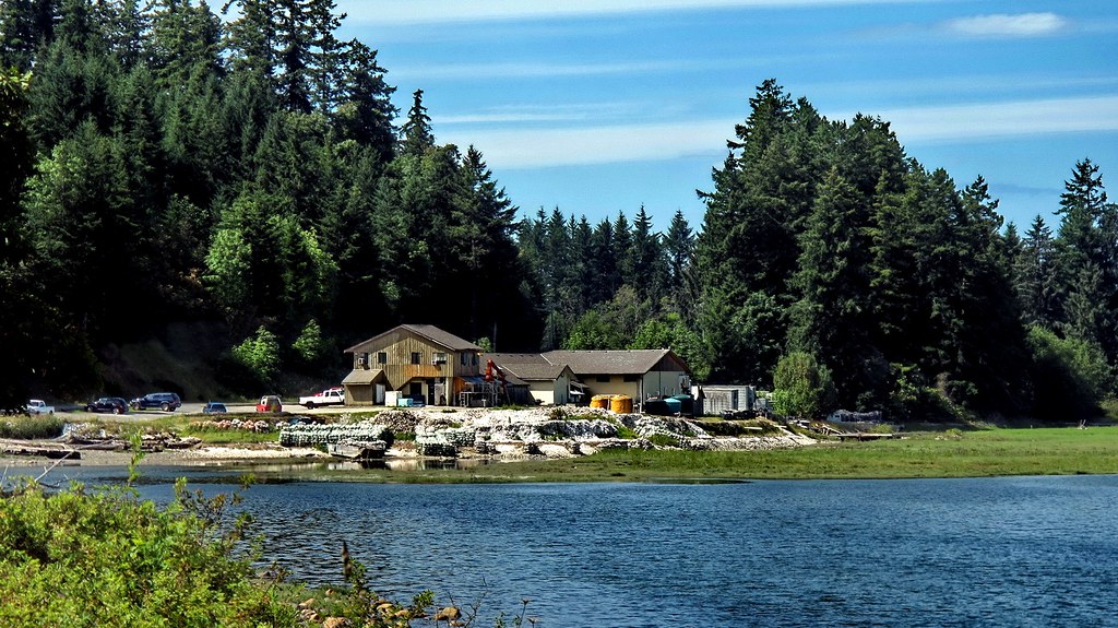 Fanny Bay Oyster Company A British Columbia company that f… Flickr