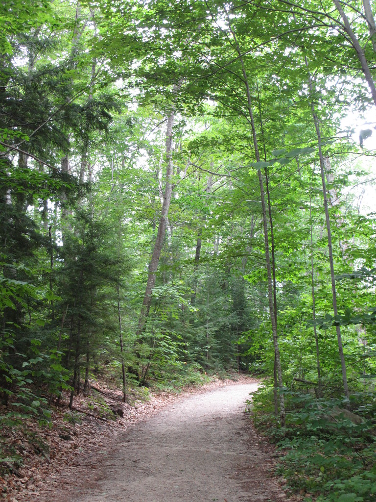 Trail at Camp Merrowvista, Tuftonboro, New Hampshire Flickr